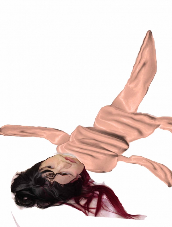Creation of Dude where's my owner ?: Step 11